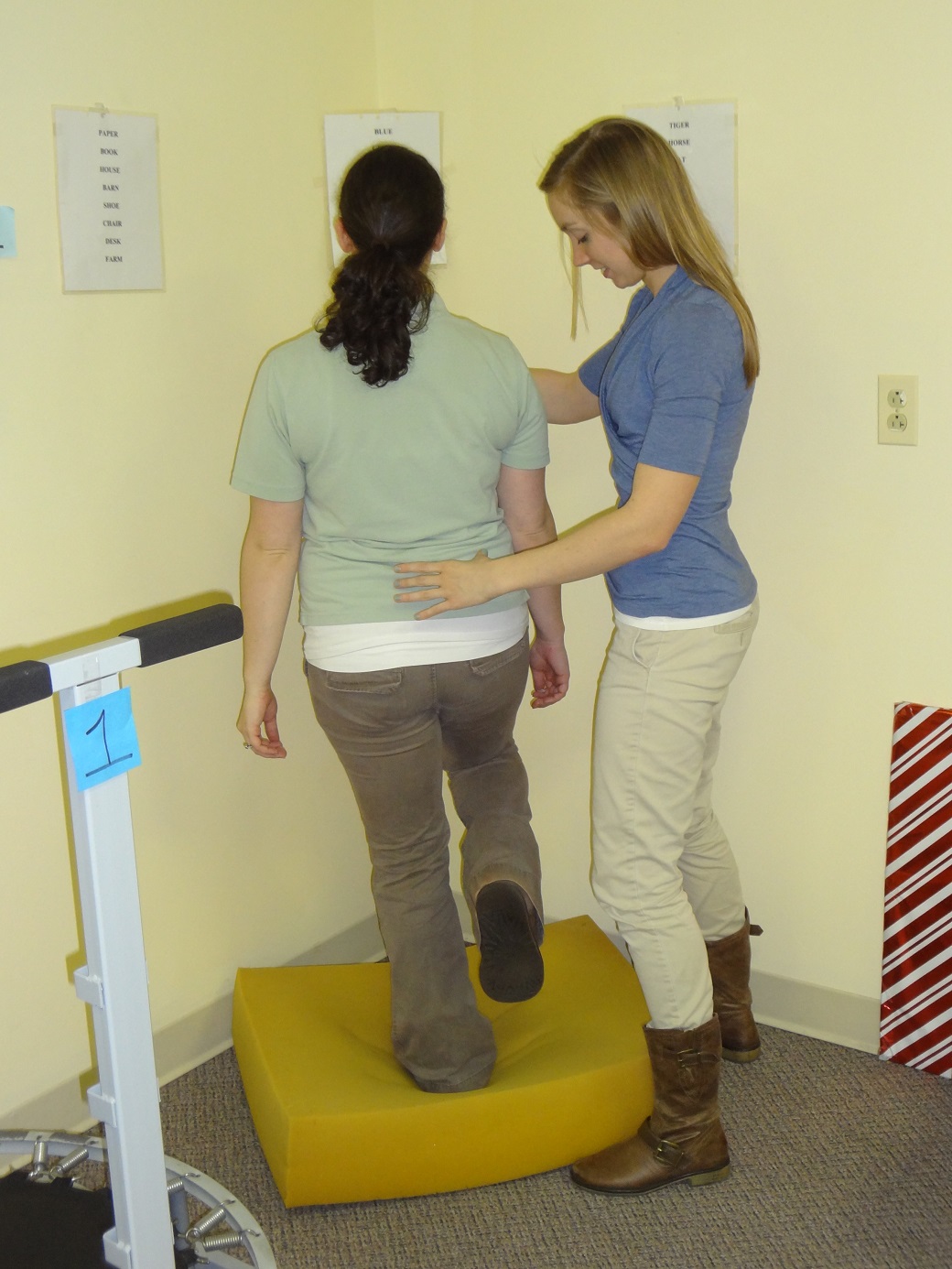 Vestibular Balance Rehabilitation Therapy (VBRT)